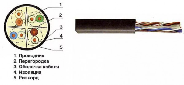 Превью 3